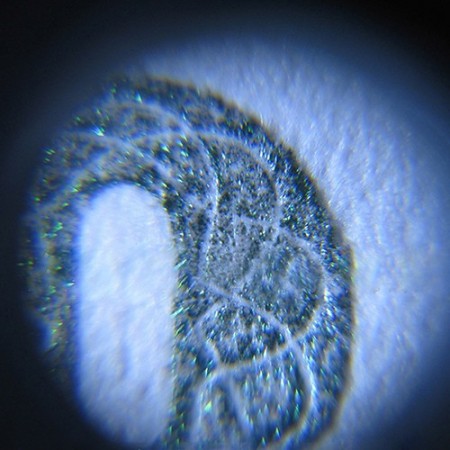 Mini mikroskop 60x z podświetleniem LED i UV